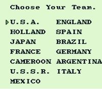 Nintendo World Cup
